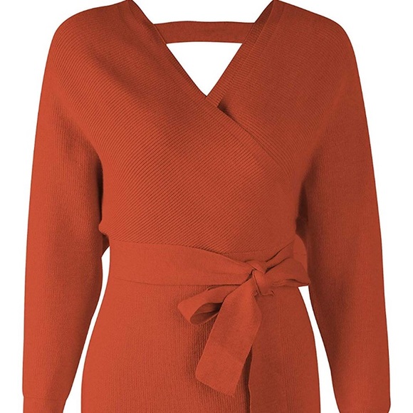 ✨THE SAVOY ORANGE BATWING SWEATER DRESS *NWT* ✨ - Picture 4 of 8